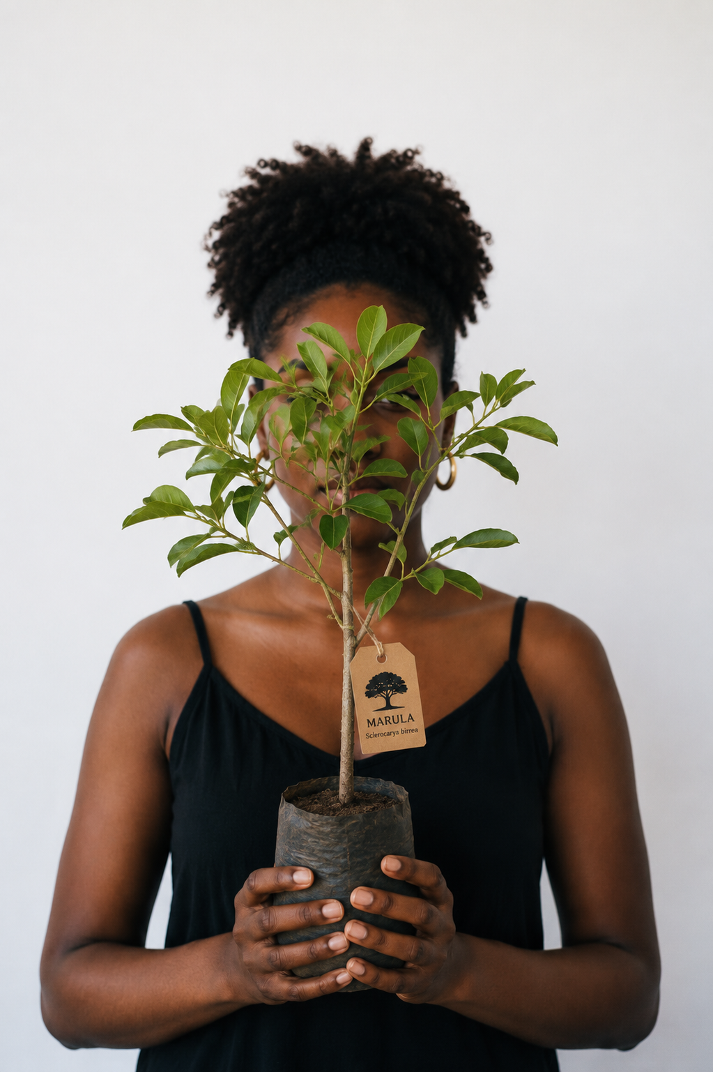 Mulher segurando um ramo da planta de marula